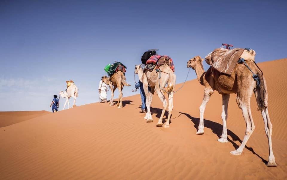 Camp Desert Bivouac Chegaga El Gouera 외부 사진