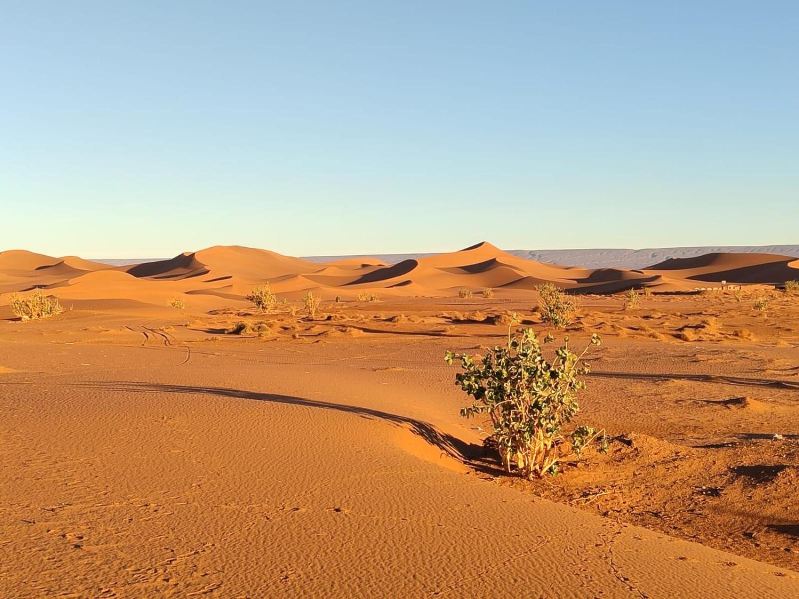 Camp Desert Bivouac Chegaga El Gouera 외부 사진