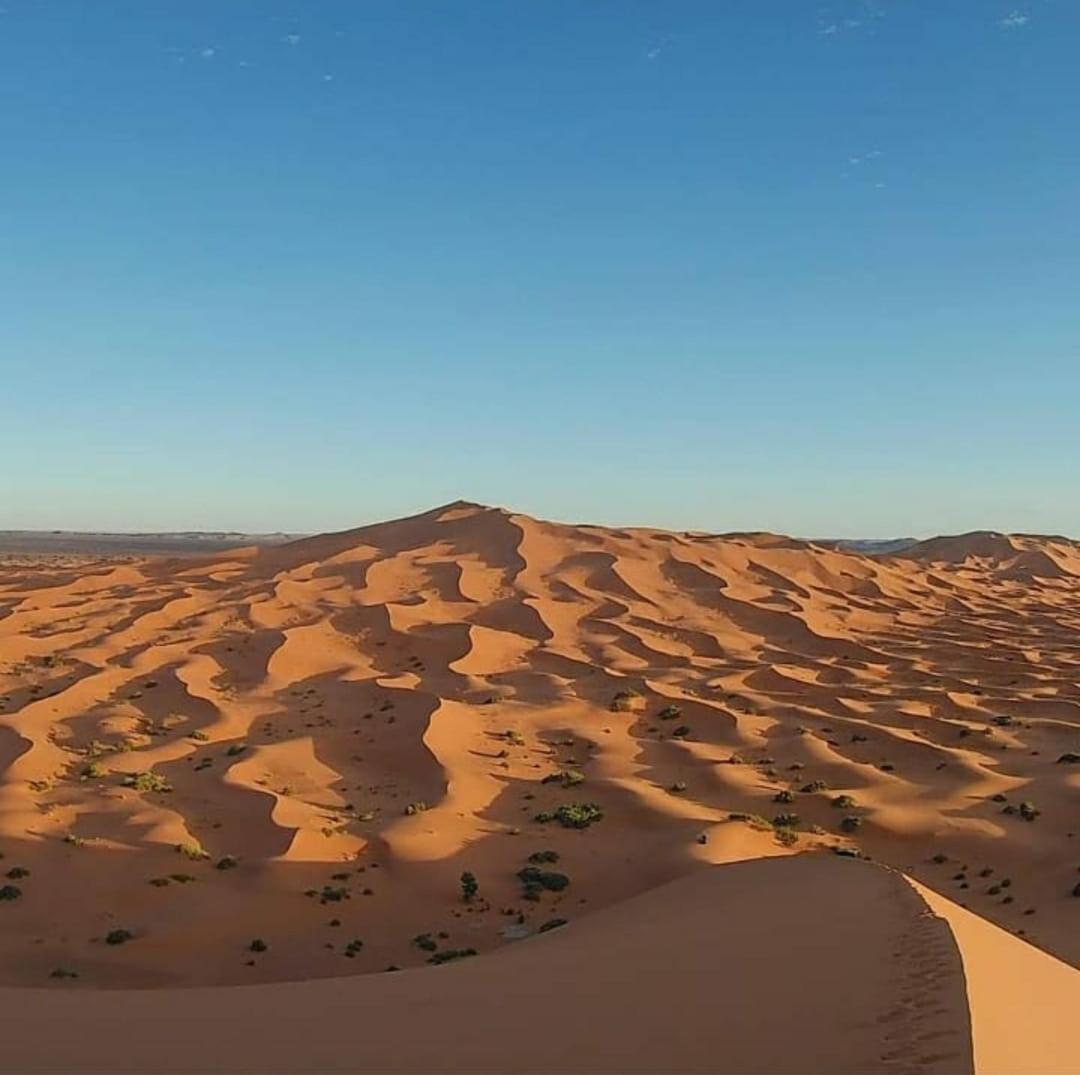 Camp Desert Bivouac Chegaga El Gouera 외부 사진