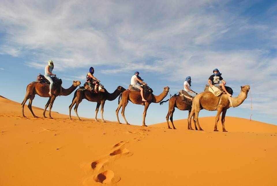 Camp Desert Bivouac Chegaga El Gouera 외부 사진