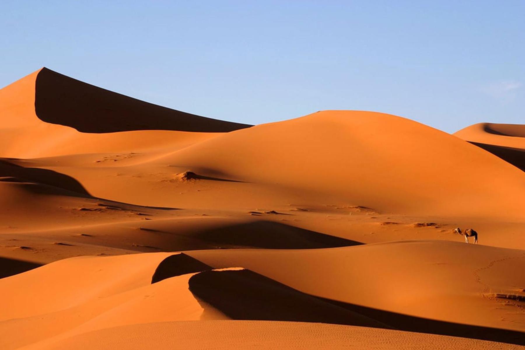 Camp Desert Bivouac Chegaga El Gouera 외부 사진