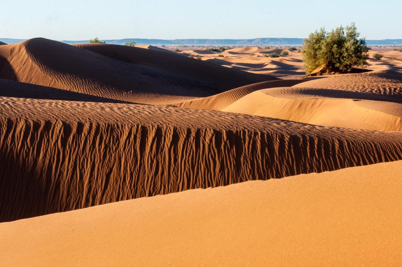 Camp Desert Bivouac Chegaga El Gouera 외부 사진